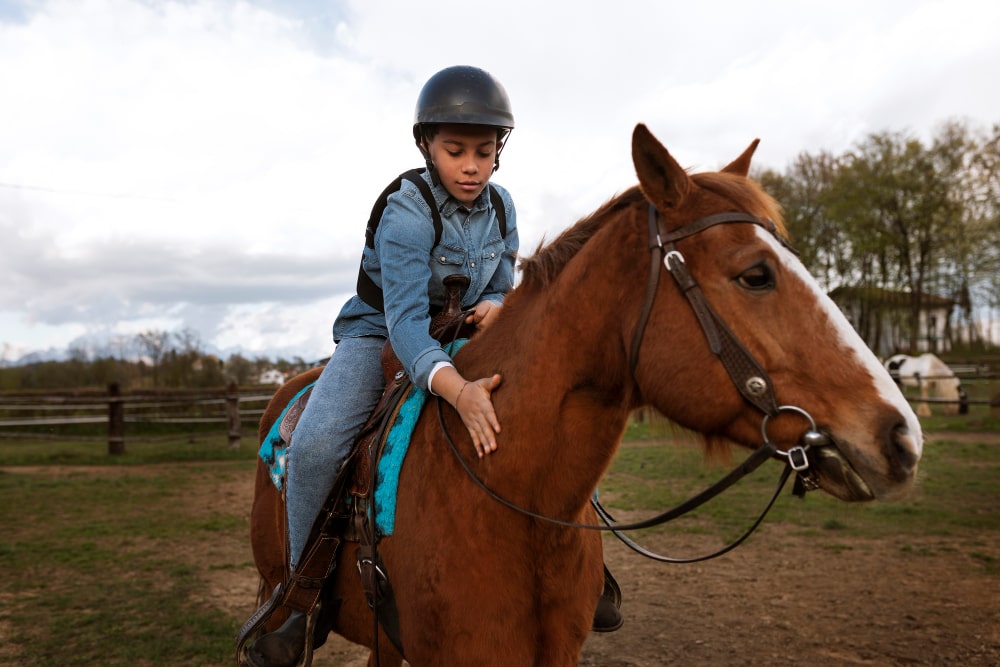 Why Is My Horse Bunny Hopping In Canter